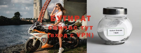 индика Медвежьегорск