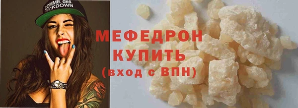 индика Медвежьегорск