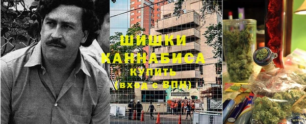 гидра Михайловск