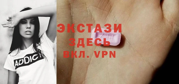 индика Медвежьегорск