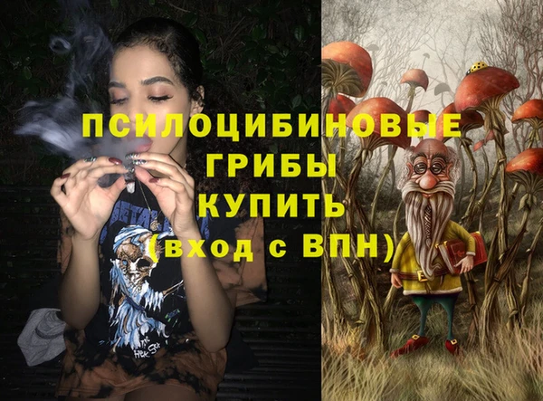 индика Медвежьегорск