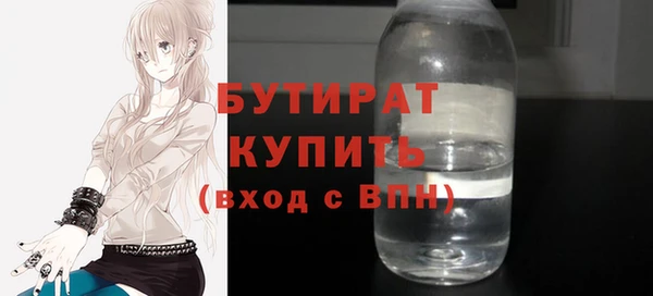 индика Медвежьегорск