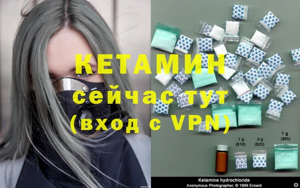 индика Медвежьегорск