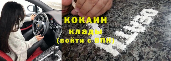 индика Медвежьегорск