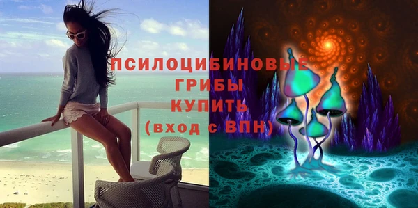 индика Медвежьегорск