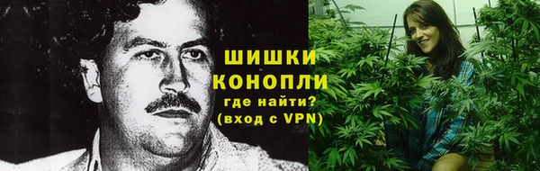 гидра Михайловск