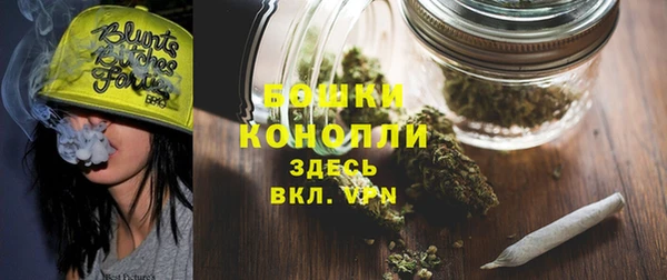 индика Медвежьегорск