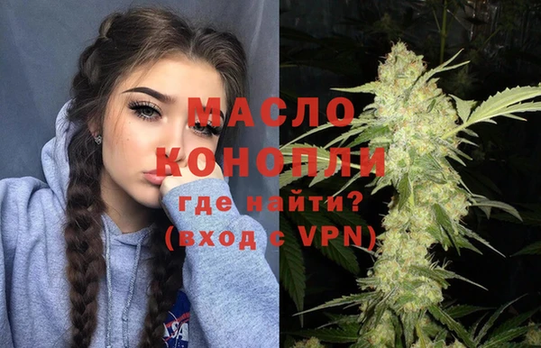 индика Медвежьегорск