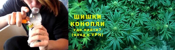 твердый Михайлов