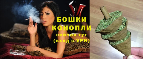 гидра Михайловск