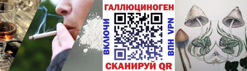 Псилоцибиновые грибы GOLDEN TEACHER Любим